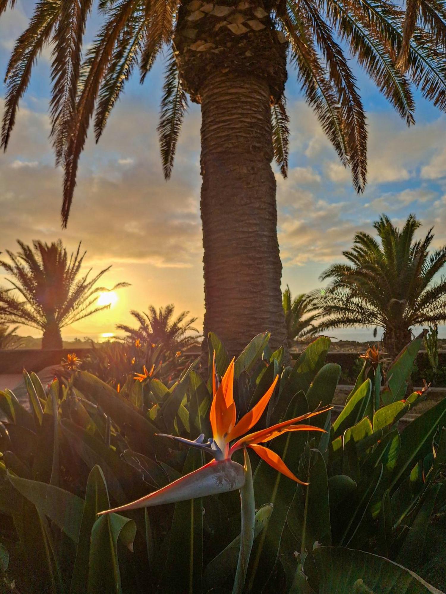 Finca Afortunada Las Puntas Dış mekan fotoğraf